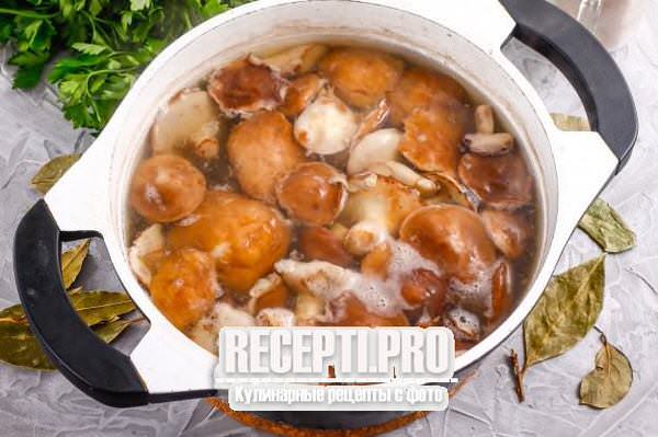 Маринованные маслята рецепт без стерилизации