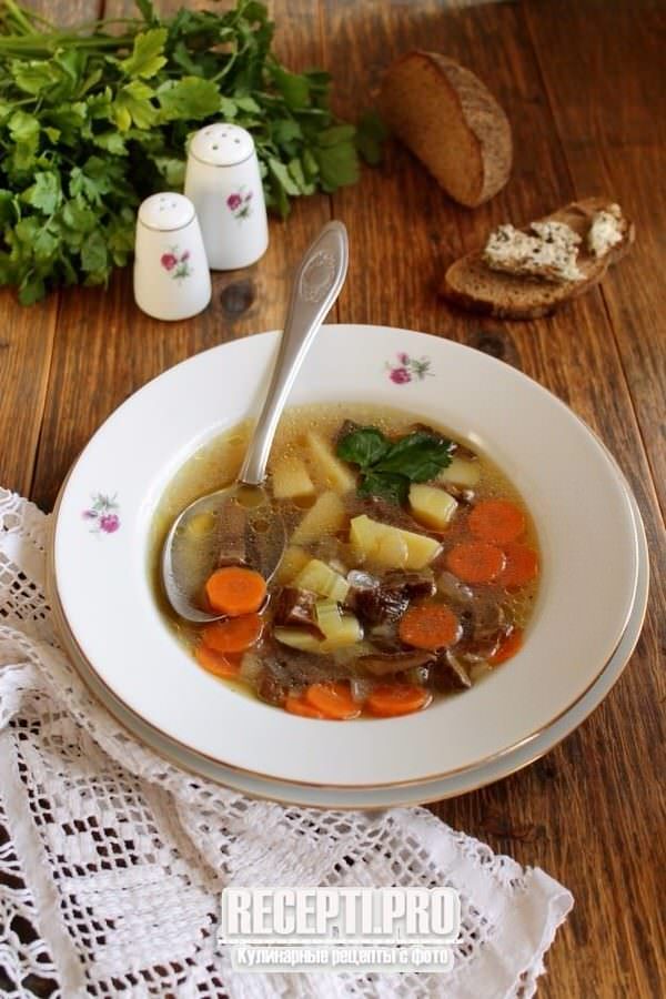 Суп со стеблевым сельдереем и сушеными грибами